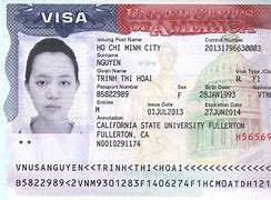 Image result for U Visa USA