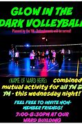 Image result for Glow in the Dark Volleyball