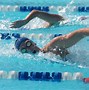 Image result for Florida High School Swimming