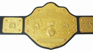 Image result for WCW Belt