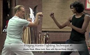 Image result for Praying Mantis Punch