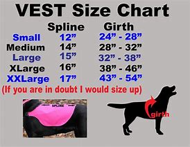 Image result for Nervous Dog Vest Meme