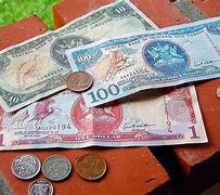 Image result for Trinidad Coin Currency