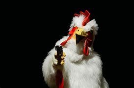 Image result for Chicken Wallpaper Funny iPhone XR