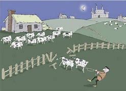 Image result for Stealing Cattle