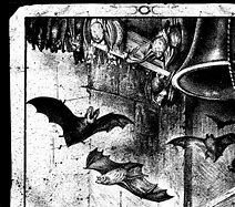 Image result for Bats in the Belfry Clip Art