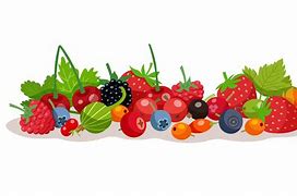 Image result for Berry ClipArt