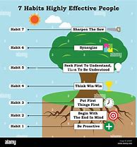 Image result for 7 Habits Tree Diagram