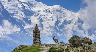 Image result for Mont Blanc 109045