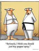 Image result for Funny Martial Arts Cartoon
