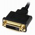 Image result for HDMI to DVI Monitor Cable