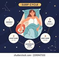 Image result for Sleep Biology