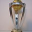 Image result for World Cup Replica