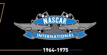 Image result for NASCAR Logo Colors