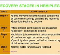 Image result for Bobath Stages of Stroke Recovery