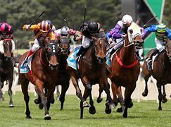 Image result for Anaheim Ascot Racing