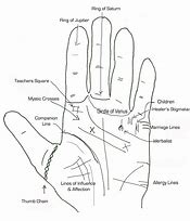 Image result for Palm Direction Pre