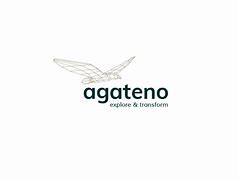 Image result for agateno