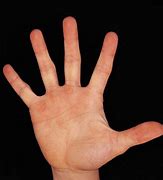 Image result for What Has Five Hands