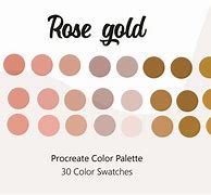 Image result for Rose Gold Color Palette