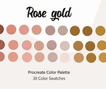 Image result for Types of Rose Gold Color