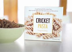 Image result for Cricket Pasta