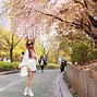 Image result for Yeouido Park Women