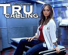 Image result for The Calling TV Series