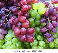 Image result for Wine Grapes Background