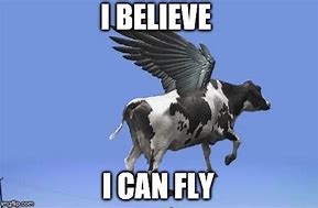 Image result for Flying Horse Meme
