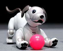 Image result for Aibo Ball