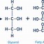 Image result for Alkyl Ester