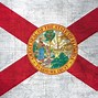 Image result for High Quality Image of the Florida State Flag