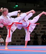 Image result for martial arts'