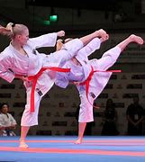 Image result for Martial Arts Pics