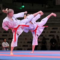 Image result for Karate Martial Art