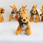 Image result for Australian Animals Baby Toys