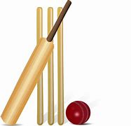 Image result for Cricket Bat Ad Ball