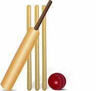 Image result for Cricket Silohuette PNG