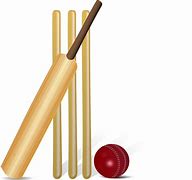 Image result for Cricket Bat Ball Photo