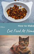 Image result for Homemade Cat Food