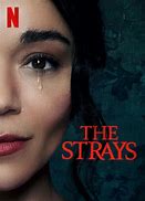 Image result for The Strays AST