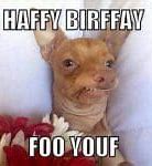 Image result for Weird Happy Birthday