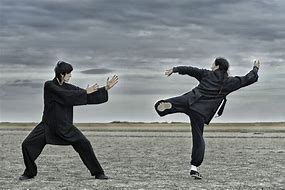 Image result for Passive Aggressive Kung Fu Styles