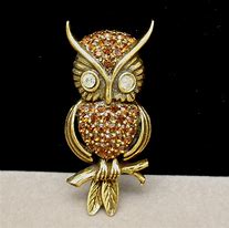Image result for Owl Brooch Pin