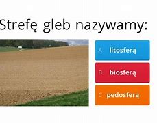 Image result for co_to_znaczy_zasobność_gleby