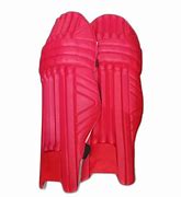 Image result for Cricket Bug Pics