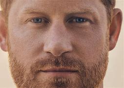 Image result for Spare Prince Harry Audiobook