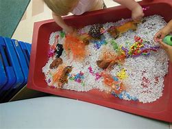 Image result for Sensory Table Activities