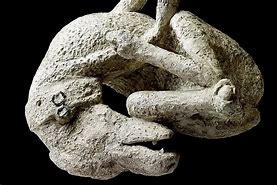 Image result for Pompeii Dog Statue